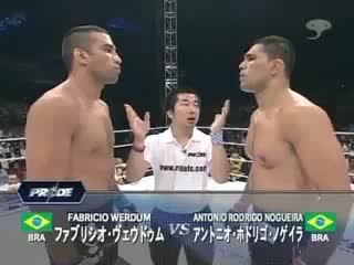 antonio rodrigo nogueira - fabrizio werdum