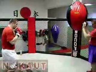 mirko cro cop in training, two months after losing to frank mir. part 2