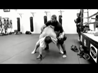 alistair overeem training.